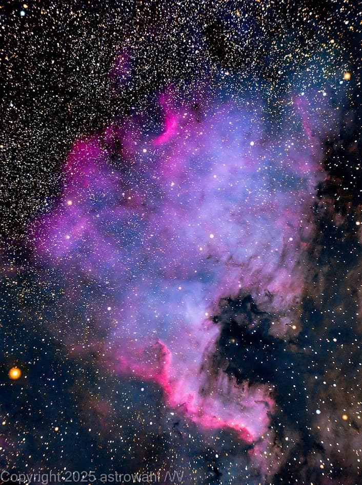 North American Nebula