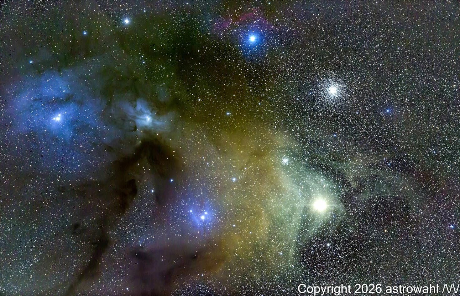 Rho Ophiuchi Cloud Complex
