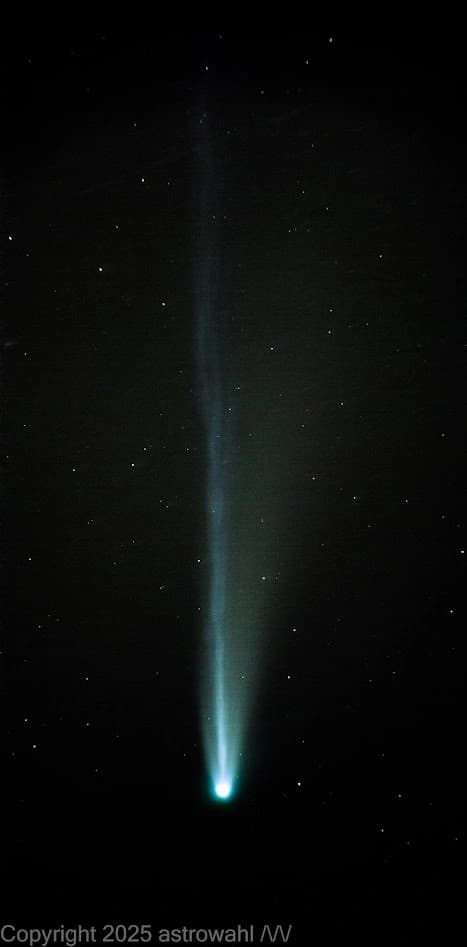 Comet C/2025 A6 Lemmon