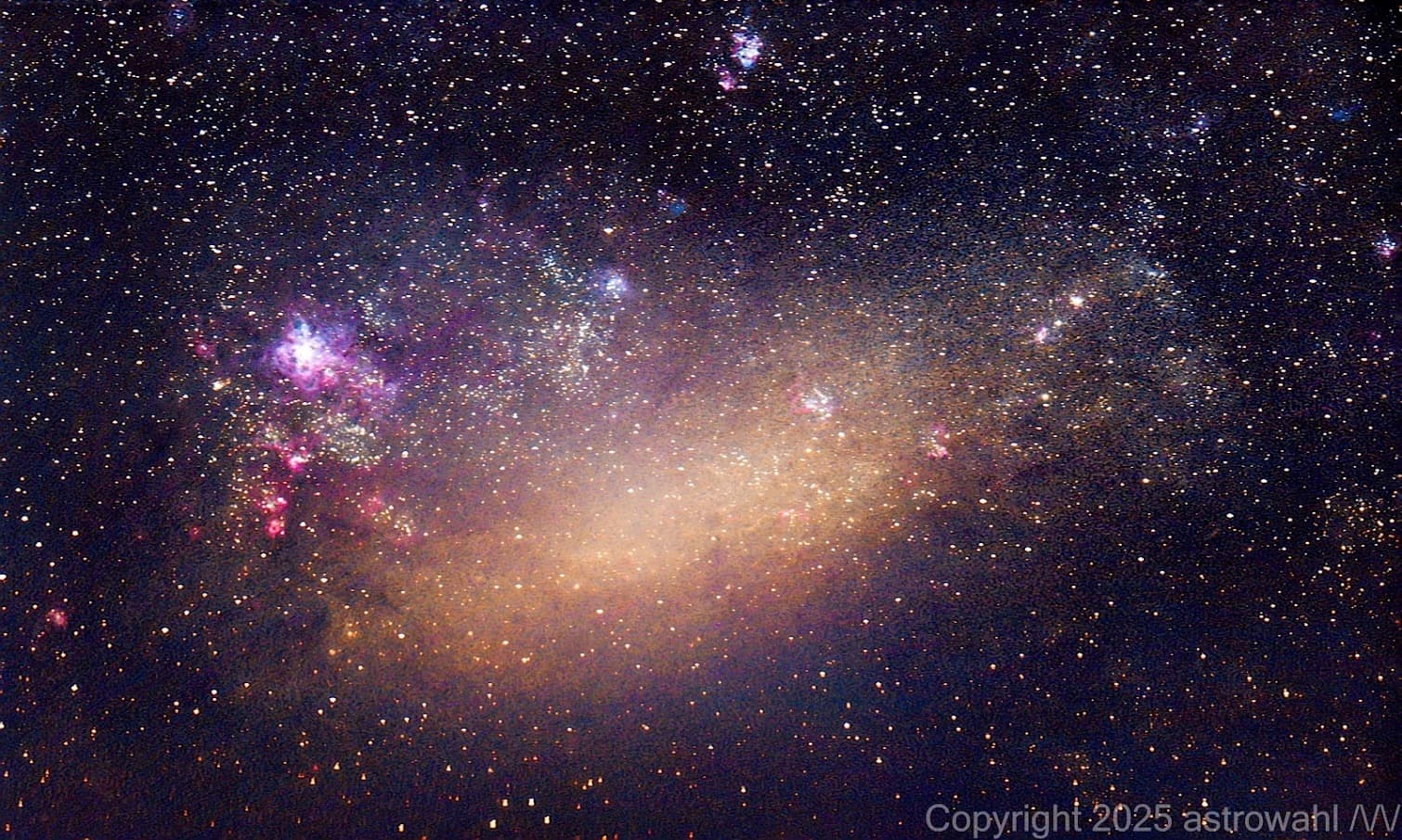 Large Magellanic Cloud