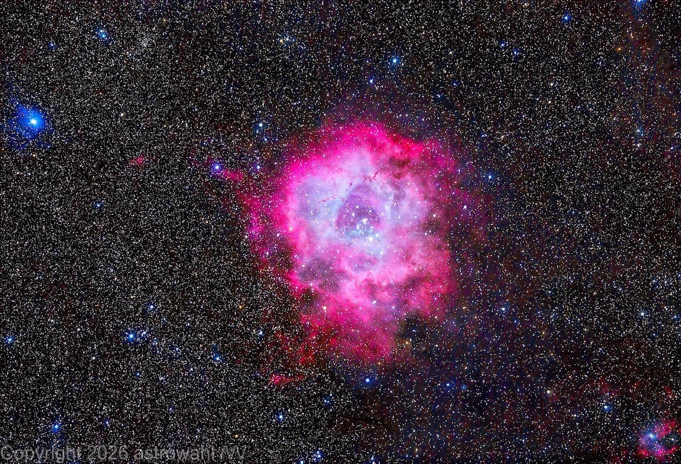 The Rosette Nebulae